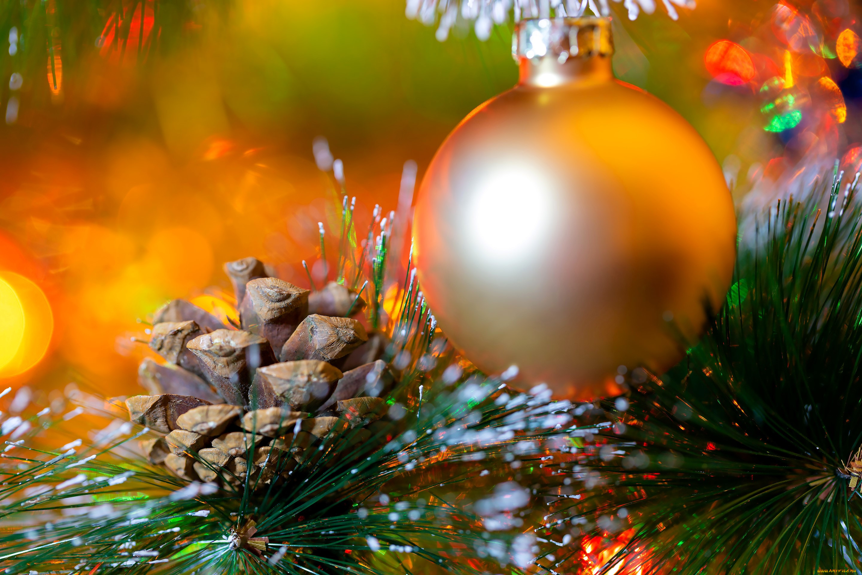 �����������, ����, �����, �����, ����, ���������